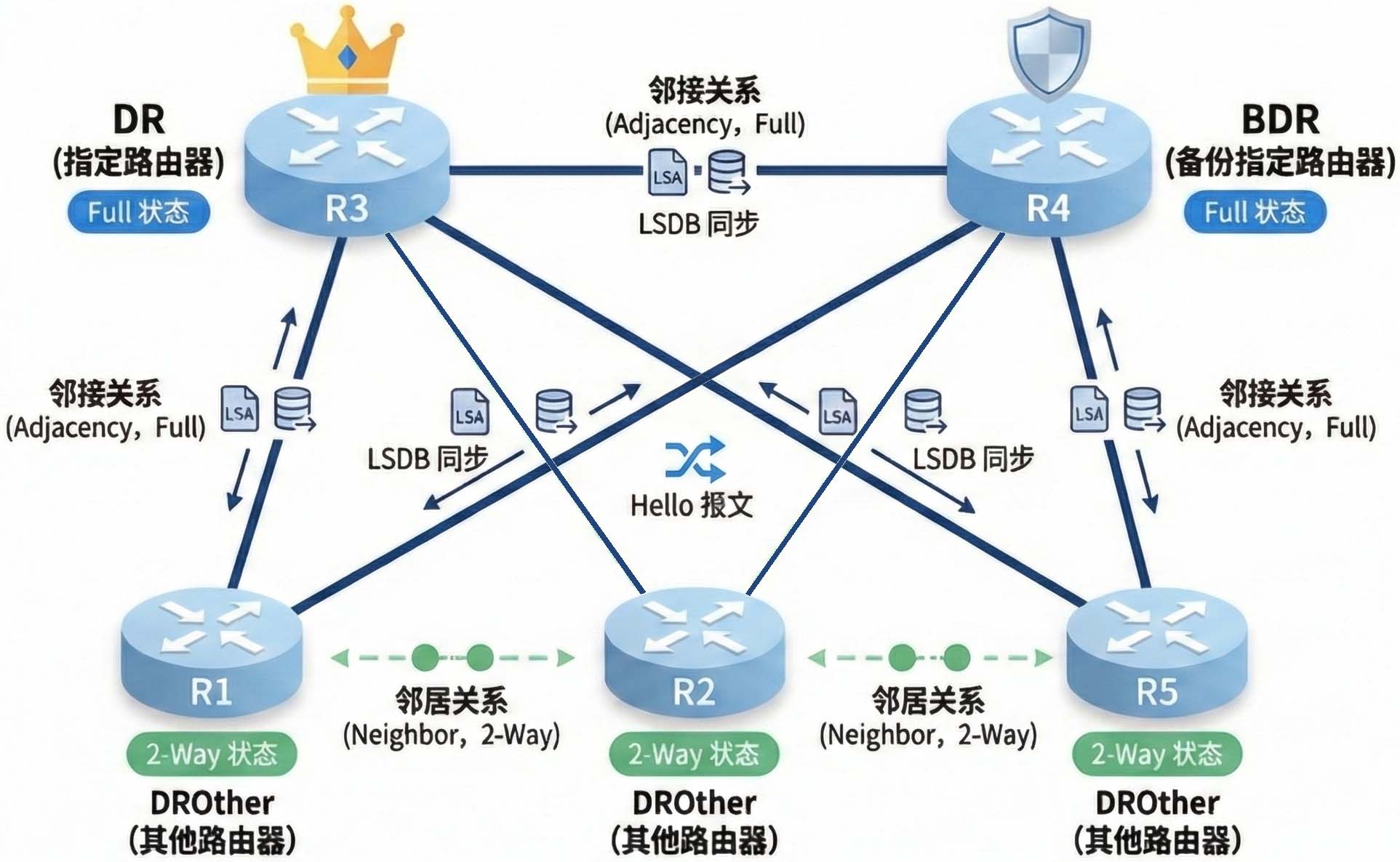 OSPF邻居关系示意图